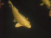 DSCN0250.jpg