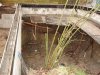 Teichbau18.jpg