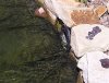 20120608_115303.jpg