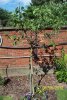 100_0342.JPG
