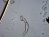 2012_06_08_17_35_16_931.jpg