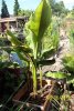 100_0346.JPG