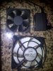 IMG-20120608-00085.jpg