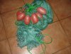 DSC03924.JPG
