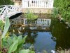 Teich.JPG