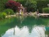 IMG_5004.jpg