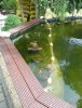 P1060167.jpg