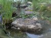 K640_08052012617.JPG