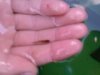 DSC00236.JPG