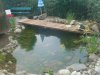 DSC00245.JPG