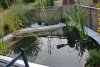 teichbau6.jpg