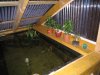 IMG_0226.JPG