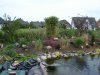DSC02382.JPGPflanzen1.JPG