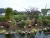 DSC02383.JPGPflanzen2.JPG