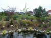 DSC02384.JPGPflanzen3.JPG