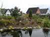 DSC02386.JPGPflanzen5.JPG