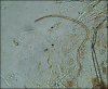 uvs080826-004.jpg