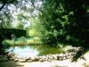 Teich1.jpg
