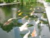 IMG_3764.JPG
