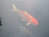 DSCF2486_600_450.jpg