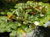 DSCN0115.JPG