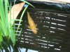 DSC02666.JPG