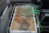 DSC02595.JPG