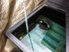 Wasserstand Biokammer mit MOK 110 150 Pumpe sauber Bild klein.jpg