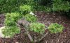 img_9676_207EibeX.jpg
