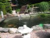 IMG_0003.JPG
