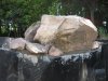 IMG_7567.jpg
