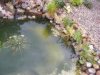 DSCF0118.JPG