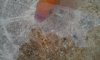 IMAG0457.jpg