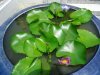 DSC00086.JPG