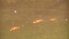 vlcsnap-2012-08-09-23h22m26s100.jpg