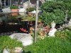 DSCF0644.JPG
