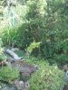 DSCF0643.JPG