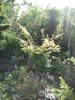 DSCF0642.JPG
