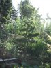 DSCF0640.JPG