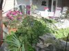 DSCF0646.JPG