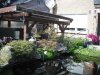 DSCF0645.JPG