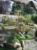 DSCF0647.JPG