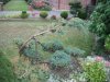 DSCF0666.JPG