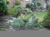 DSCF0664.JPG