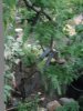 DSCF0659.JPG