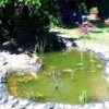 Handy Bilder 870.jpg