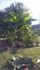 IMAG0342.1.jpg