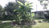IMAG0465.jpg