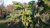 IMAG0442.jpg