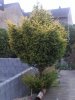 2012-09-02-218.jpg